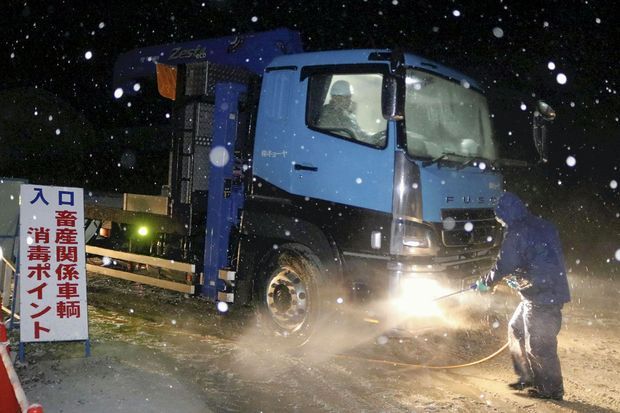 Désinfection d'un camion quittant une exploitation agricole où des canards ont été tués par la grippe aviaire, en novembre 2016, au Japon.