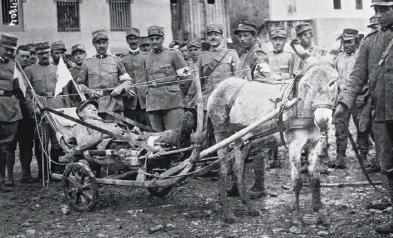 11 Novembre 1918 2018 Bêtes De Tranchées Héros Silencieux