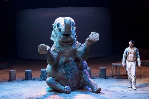 Syndha l’éléphante est l’autre vedette du spectacle, avec son cornac Firmin qui a repris le numéro de son père, Alexis Gruss.