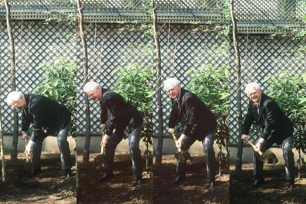 Le 12 février 1998, Lionel Jospin plante un orme dans le parc de Matignon.
