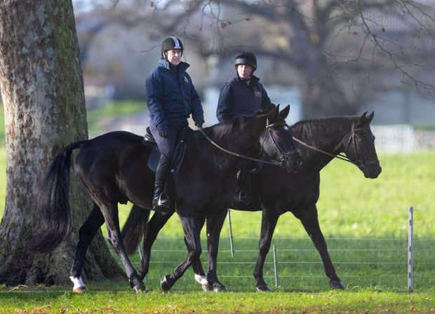 Le prince Andrew à cheval à Windsor, le 9 décembre 2021