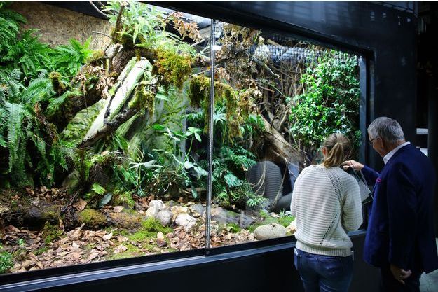 Le Plus Grand Aquarium D Eau Douce D Europe Ouvre Ses Portes Le Plus Grand Aquarium D Eau Douce D Europe Ouvre Ses Portes