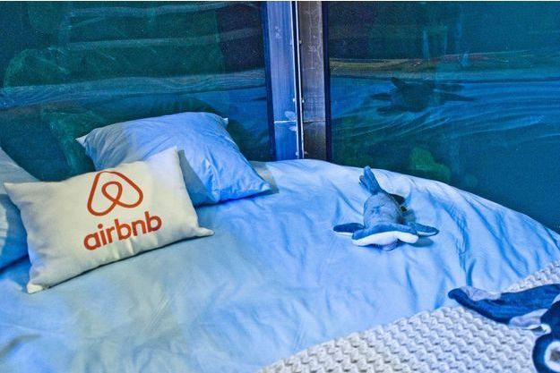 Ils Ont Dormi Dans Une Chambre Entouree De Requins