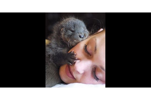 14 Loutres Adorables Reperees Sur Pinterest