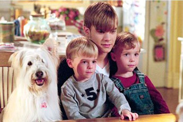 Ces Animaux Qui Ont Marqué Lécran