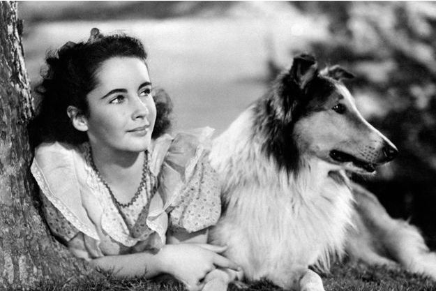 Ces Animaux Qui Ont Marqué Lécran