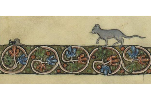 Enluminures De Manuscrits Les Lolcats Du Moyen Age