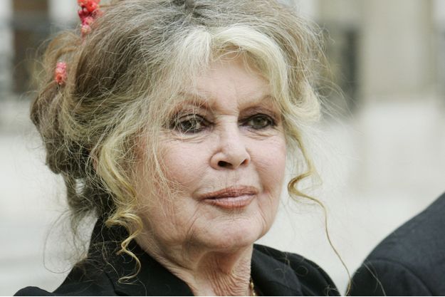 https://resize-parismatch.lanmedia.fr/r/625,417,center-middle,ffffff/img/var/news/storage/images/paris-match/people/brigitte-bardot-pourquoi-elle-ne-peut-plus-pleurer-1450091/23842190-1-fre-FR/Brigitte-Bardot-pourquoi-elle-ne-peut-plus-pleurer.jpg