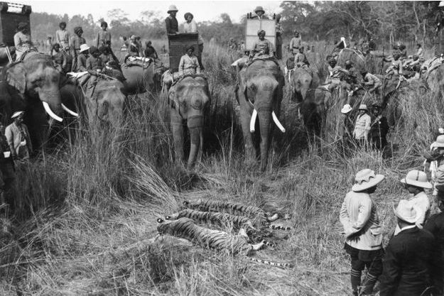 Photos La Reine Se Debarrasse De Ses Trophees De Chasse