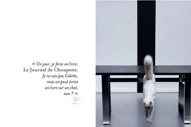 Choupette la vie enchantée d un chat fashion