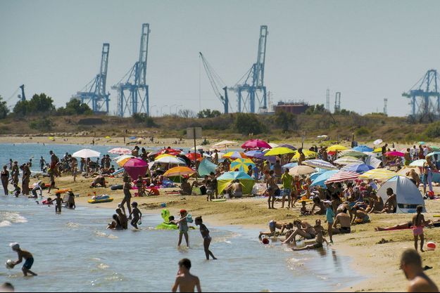 la saladelle fos sur mer guide