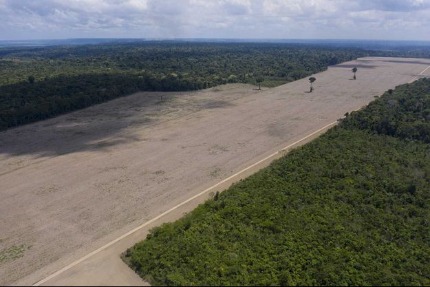 La Foret Amazonienne A Perdu La Surface De L Espagne En 18 Ans