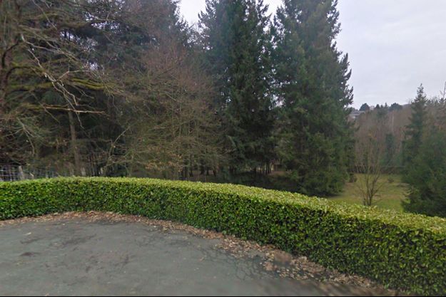 Le bébé a été retrouvé dans un buisson de ce parc d'Angers. 