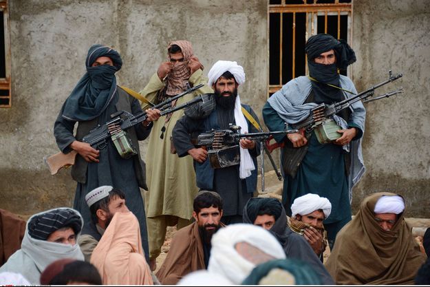 Des combatants talibans afghans dans la province de Farah.