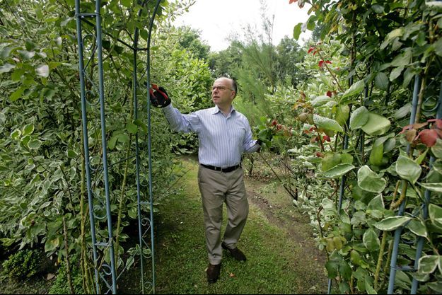Grand amateur de botanique, Bernard Cazeneuve, ici dans le jardin de sa maison de l’Oise, sécateur à la main, est un passionné de roses anciennes.