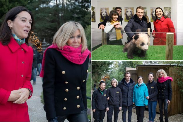 Le zoo de Beauval a partagé sur les réseaux sociaux des images de la visite d'Emmanuel et Brigitte Macron
