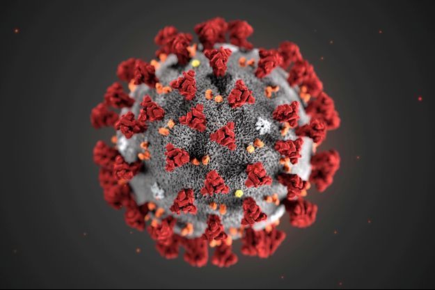 Le Coronavirus 2019-nCoV modelisé