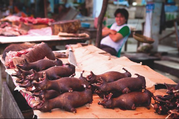 Afficher l’image source