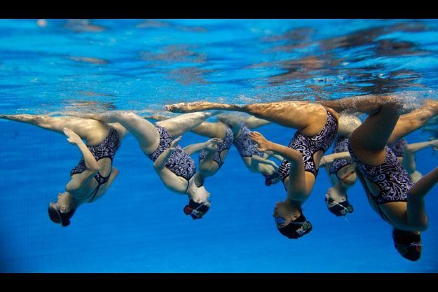 Natation Synchronisee Jetez Vous A L Eau