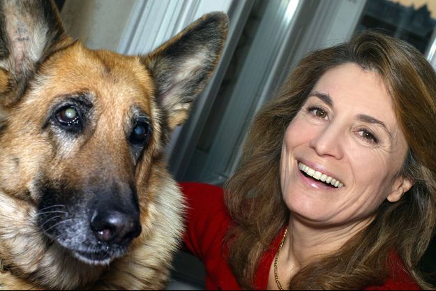 Chiens à Adopter 30 Millions D Amis L'émission s'arrête en juin - "30 millions d'amis" disparaît à 40 ans