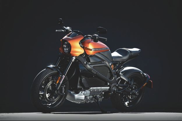 harley davidson life wire