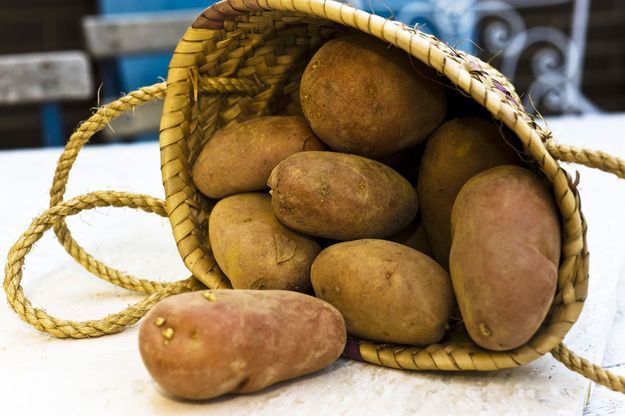 La Pomme De Terre Etait En Fait Une Grenade