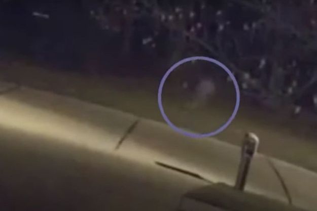 Fugueuse Ou Fantome Le Mystere De La Fillette Qui Courait Trop Vite