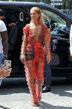 robe transparente celine dion