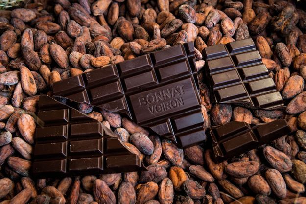 cacao chocolat