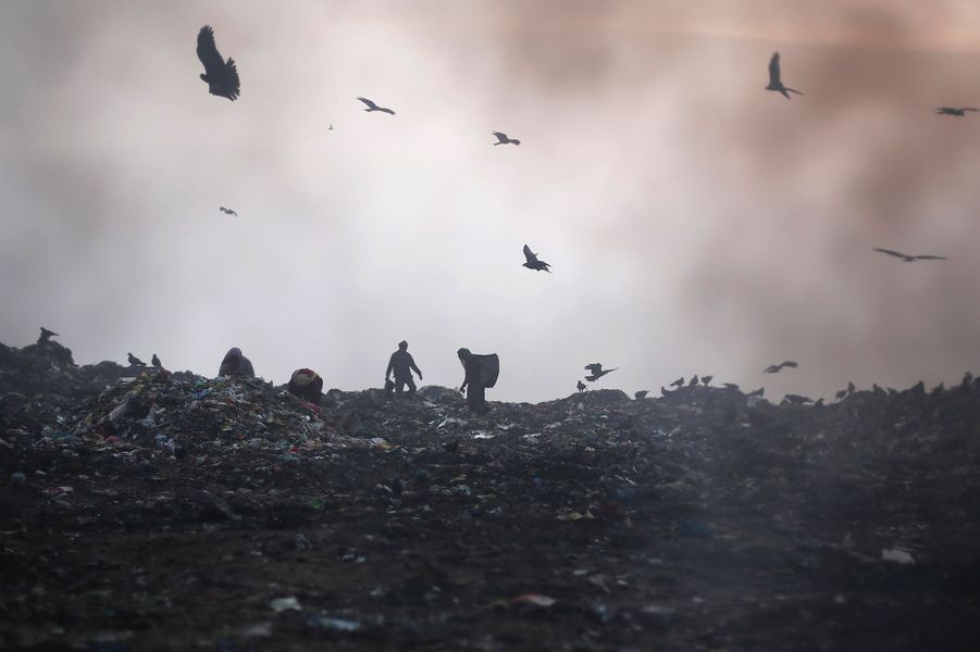 Lenfer De New Delhi Et Sa Montagne De Déchets La Plus