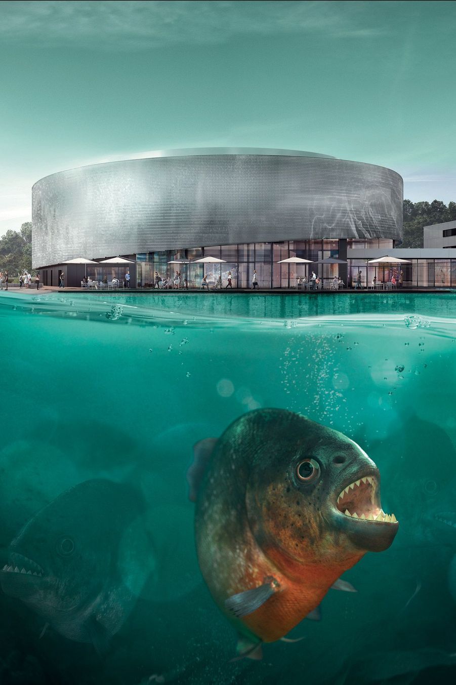 Le plus grand aquarium d’eau douce d’Europe ouvre ses portes