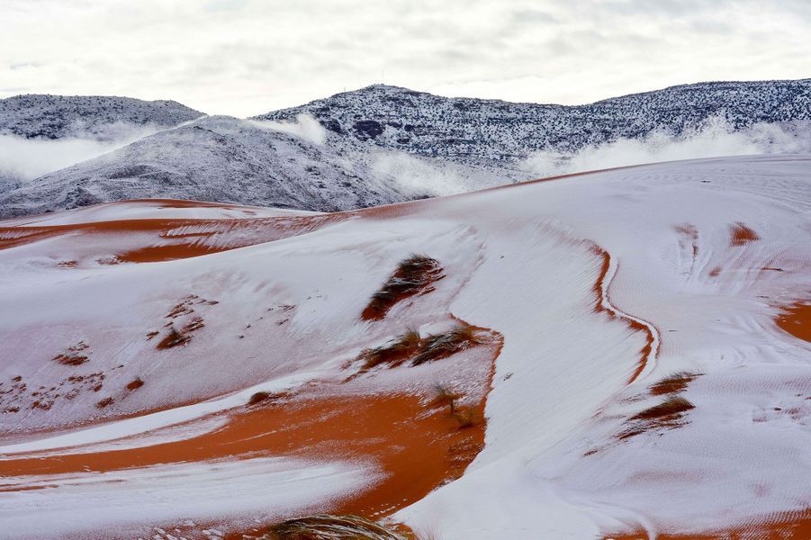 Les impressionnantes images de la neige au Sahara