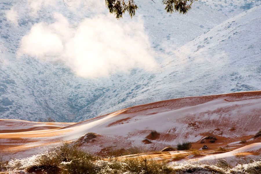 Les impressionnantes images de la neige au Sahara