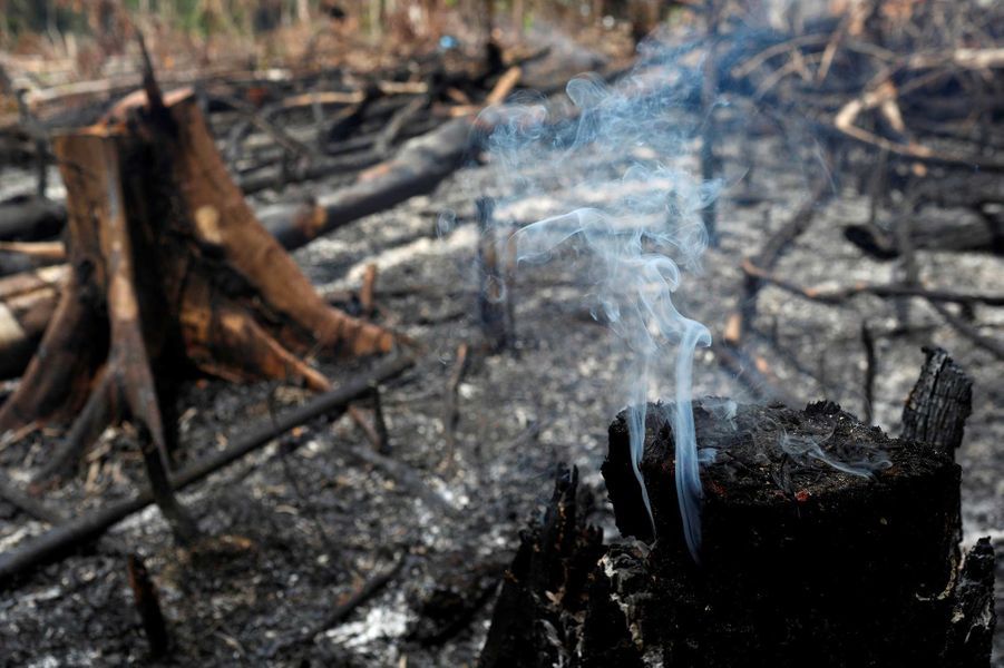 Les Impressionnantes Images Des Incendies Dans La Foret Amazonienne Les Impressionnantes Images Des Incendies Dans La Foret Amazonienne