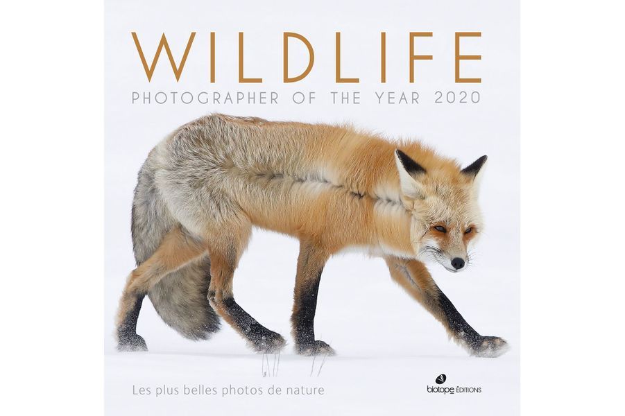 Couverture Editions Biotope Wildlife Photographer of the Year 2020 Couverture Editions Biotope Wildlife Photographer of the Year 2020