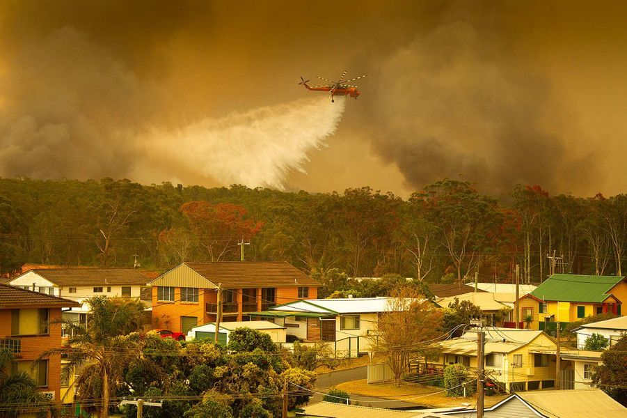 Des dizaines de feux de brousse font rage dans l'est de l'Australie le 8 novembre 2019
