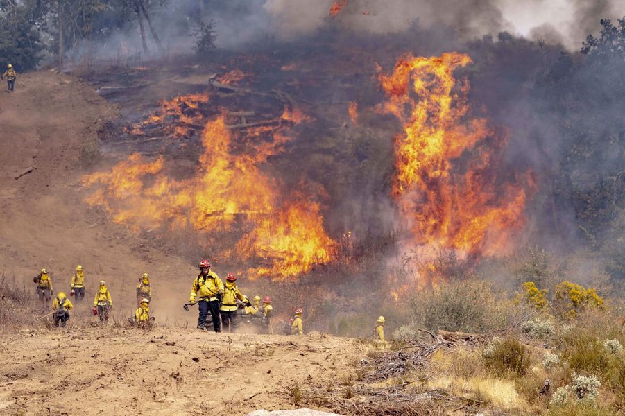 Nature dévastée et pompiers épuisés, la tragédie des incendies en