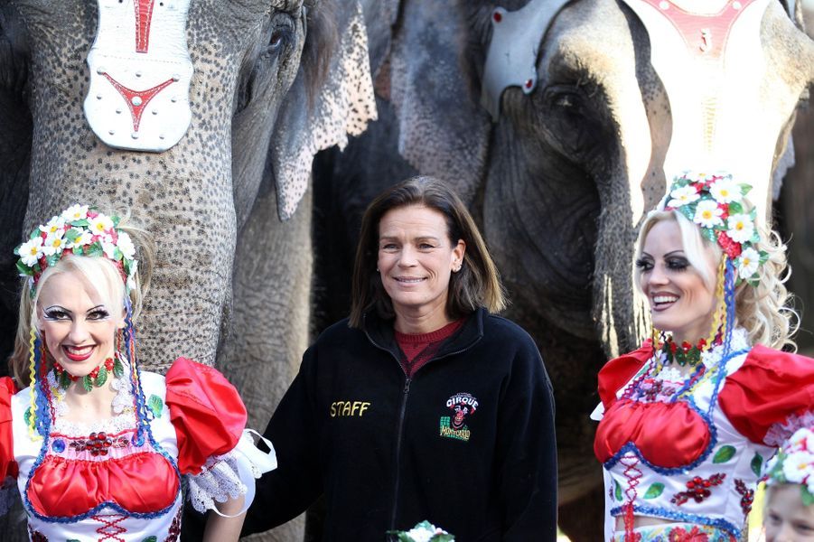 La Femme Qui Murmurait à L Oreille Des éléphants Stéphanie - Le princesse qui murmurait à l'oreille des éléphants