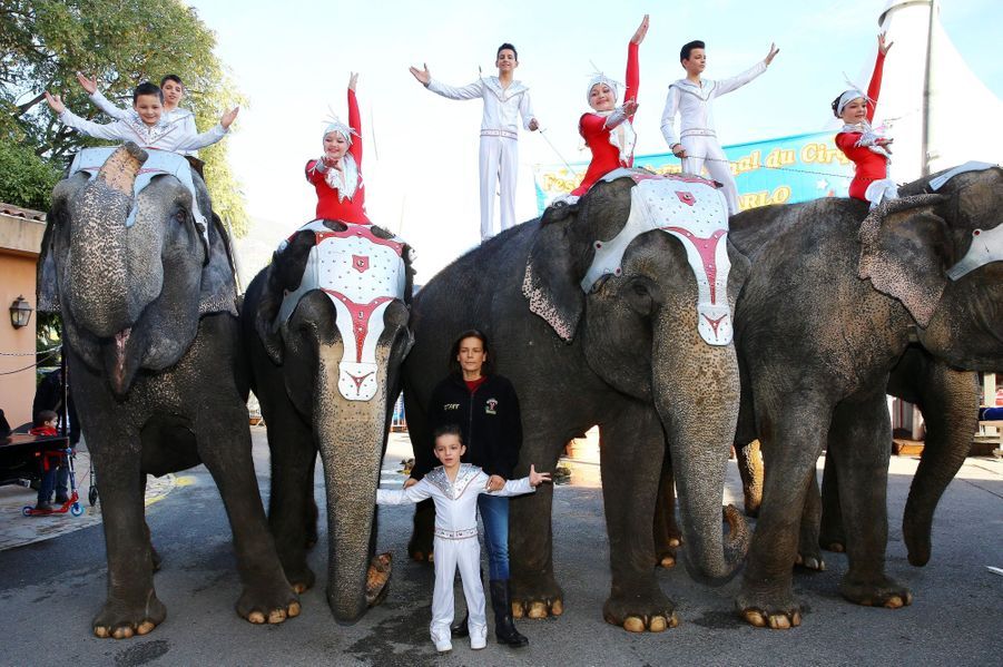 La Femme Qui Murmurait à L Oreille Des éléphants Stéphanie - Le princesse qui murmurait à l'oreille des éléphants