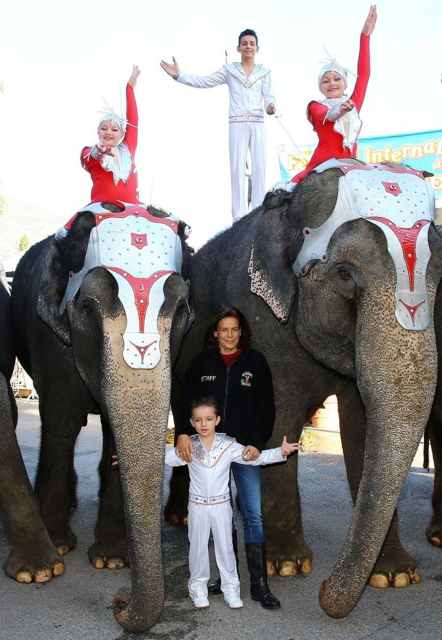 La Femme Qui Murmurait à L Oreille Des éléphants Stéphanie - Le princesse qui murmurait à l'oreille des éléphants