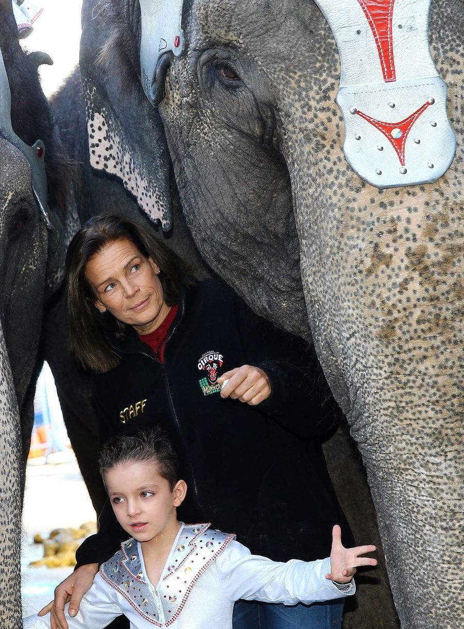 La Femme Qui Murmurait à L Oreille Des éléphants