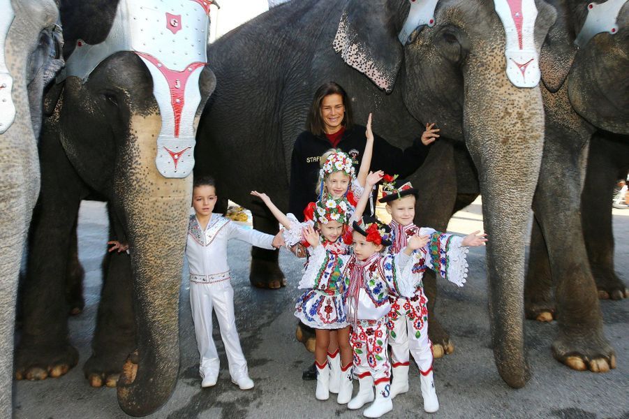 La Femme Qui Murmurait à L Oreille Des éléphants Stéphanie - Le princesse qui murmurait à l'oreille des éléphants