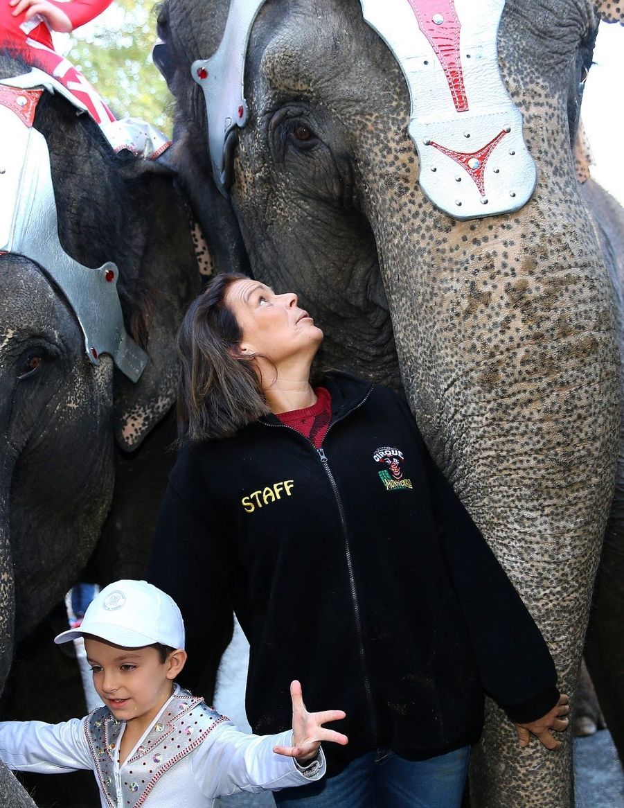 La Femme Qui Murmurait à L Oreille Des éléphants Stéphanie - Le princesse qui murmurait à l'oreille des éléphants