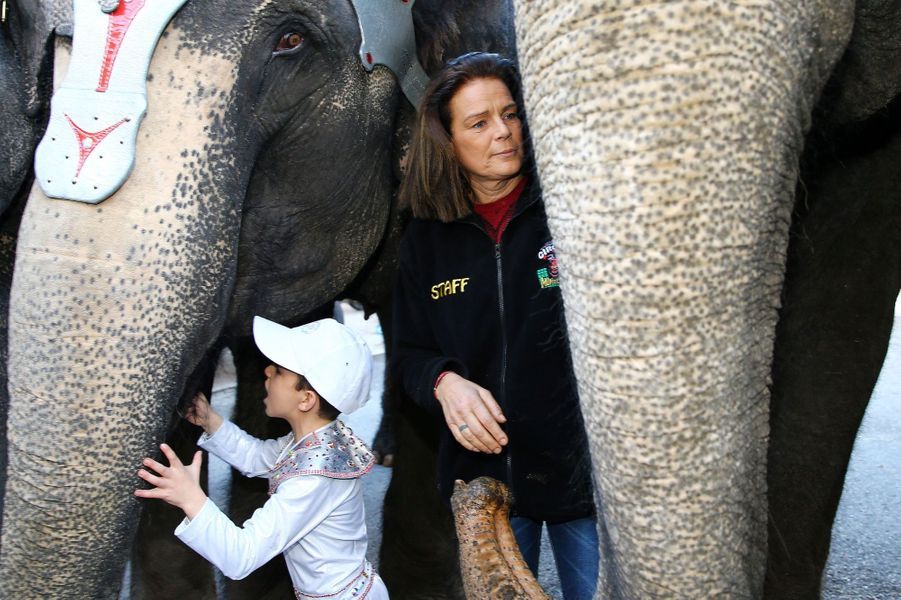 La Femme Qui Murmurait à L Oreille Des éléphants Stéphanie - Le princesse qui murmurait à l'oreille des éléphants