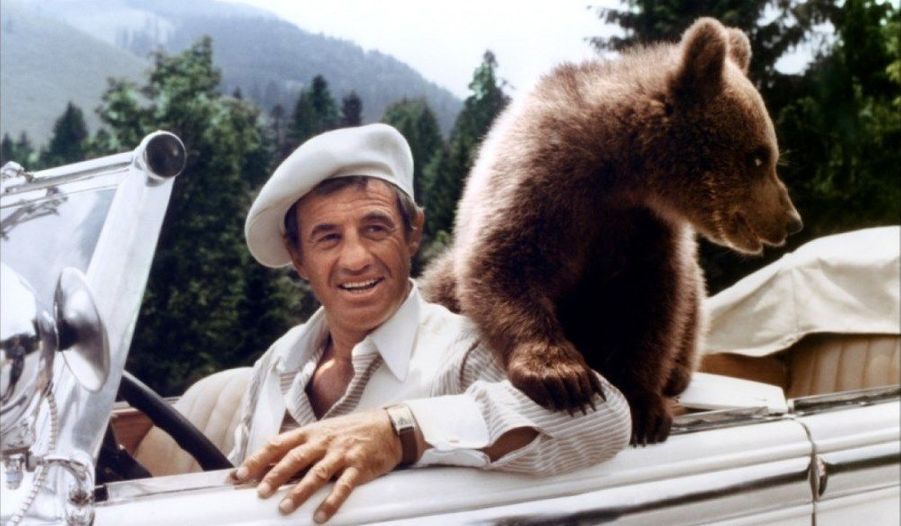 Les Films De Jean Paul Belmondo Votez pour votre film préféré de Jean-Paul Belmondo