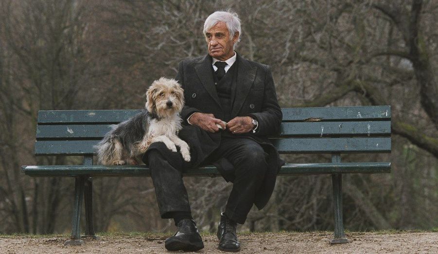 Un Homme Et Son Chien De Francis Huster Votez pour votre film préféré de Jean-Paul Belmondo