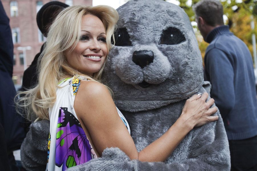 Alerte à Malibu l'évolution physique de Pamela Anderson Alerte à Malibu l'évolution physique de Pamela Anderson