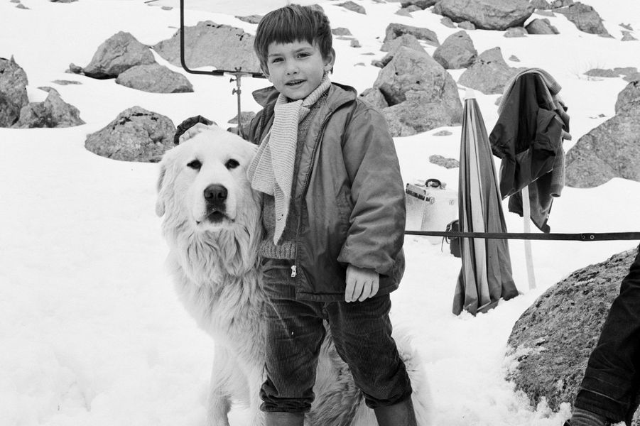 Acteurs De Belle Et Sébastien 1965 Les émissions de votre enfance : années 60