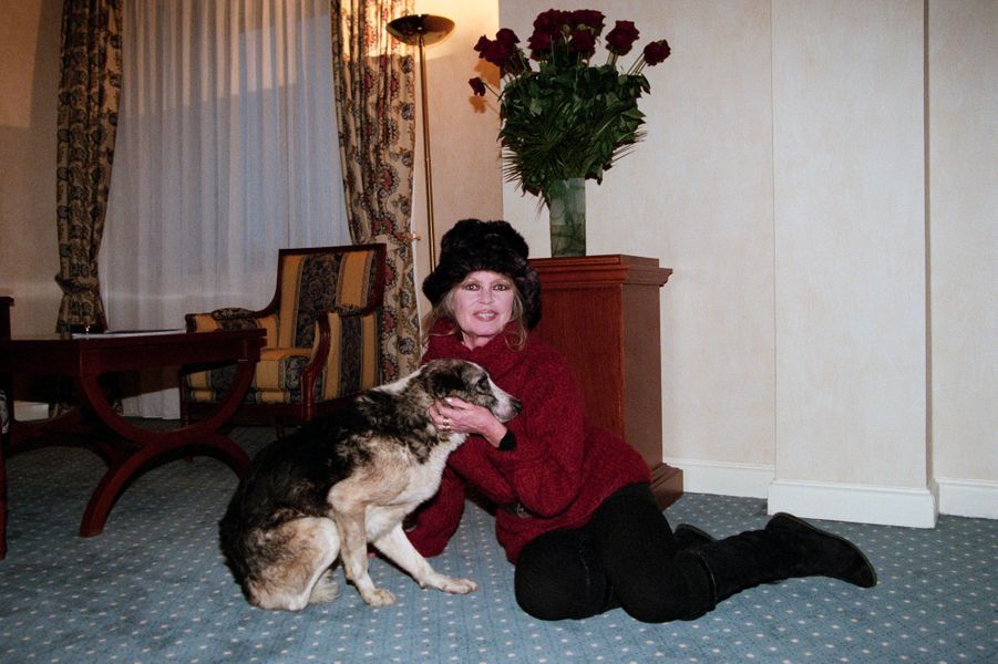 Brigitte Bardot, la meilleure amie des animaux