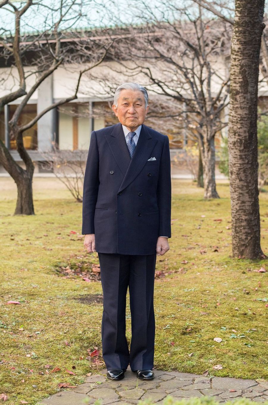 L’empereur Akihito du Japon en neuf nouvelles photos pour ses 85 ans